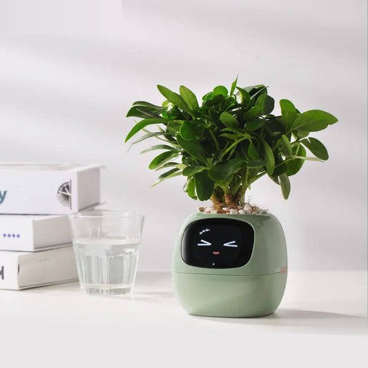 AI-Enabled Expressions & Smart Sensors Ivy Smart Planter with Interactive Plant Care