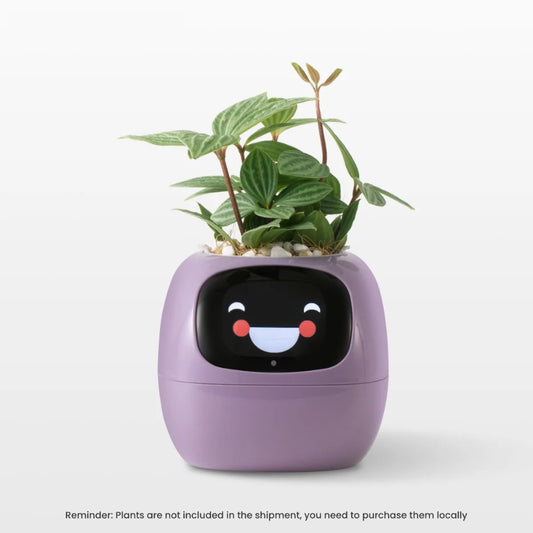 AI-Enabled Expressions & Smart Sensors Ivy Smart Planter with Interactive Plant Care