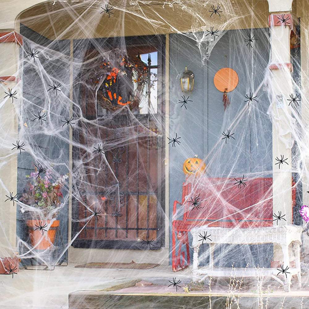 Spooky Spider Web Horror