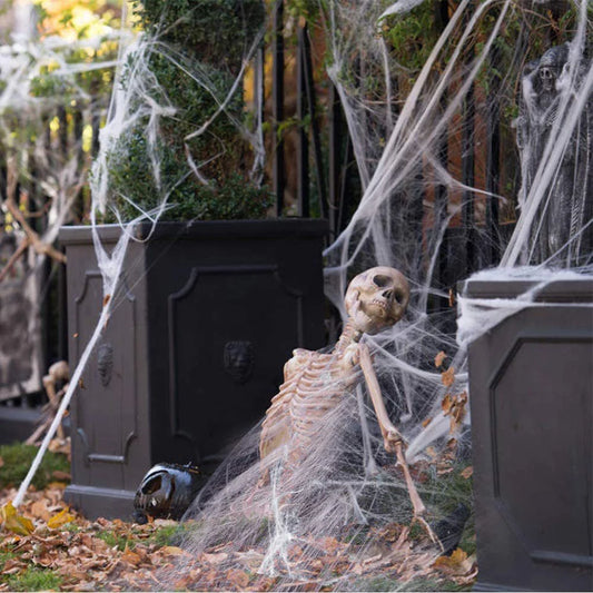 Spooky Spider Web Horror