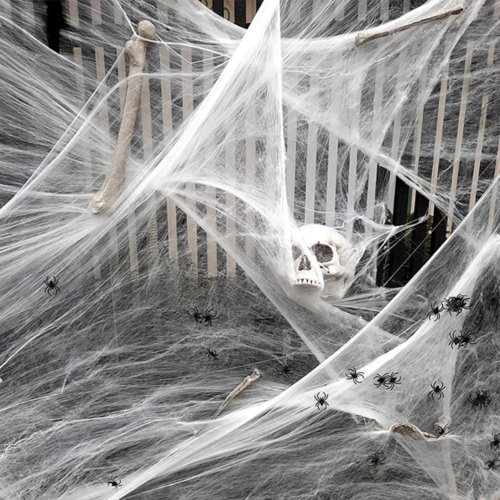 Spider Web Horror Show Halloween