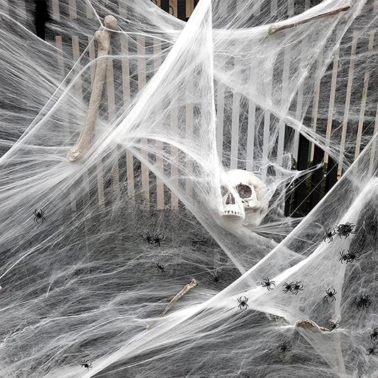 Spider Web Horror Show Halloween