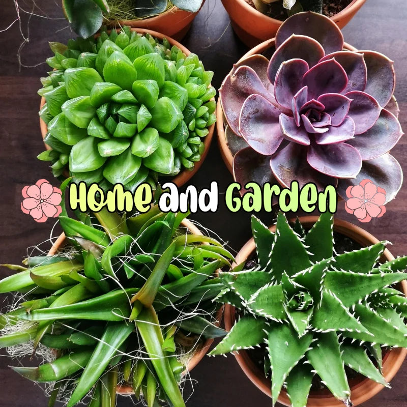 Home & Garden