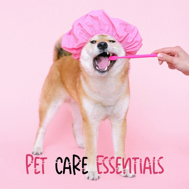 Pet Essentials